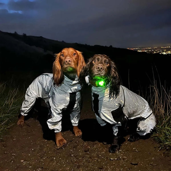 Dog Rain Coat with Legs, Waterproof Polyester | 5 Sizes Pug to Mastiff | Reflective All-Weather Protection & UV Safety 16