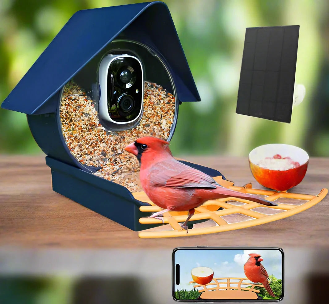 Smart Bird Feeder Camera with AI Bird Recognition | 1080p HD Night Vision, 130° View | Solar Powered, Wi-Fi App Connected 6
