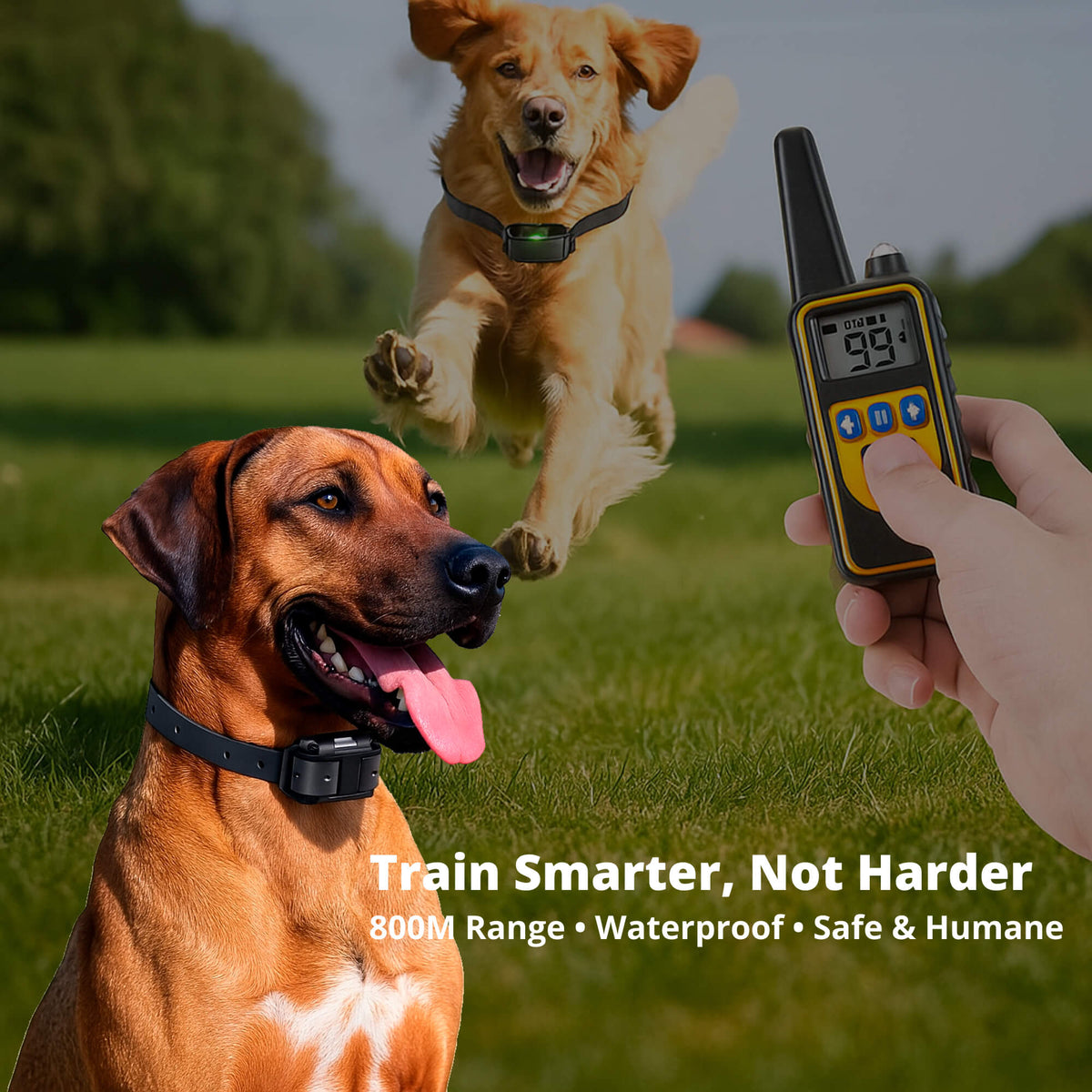 Rechargeable Dog Training Collar | Waterproof with Long-Range Remote Control | Adjustable Beep, Vibration & Static Modes 2
