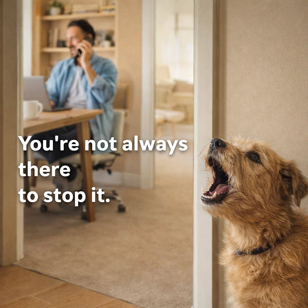 Automatic Bark Control | Hands-Free Wall Unit, Day And Night