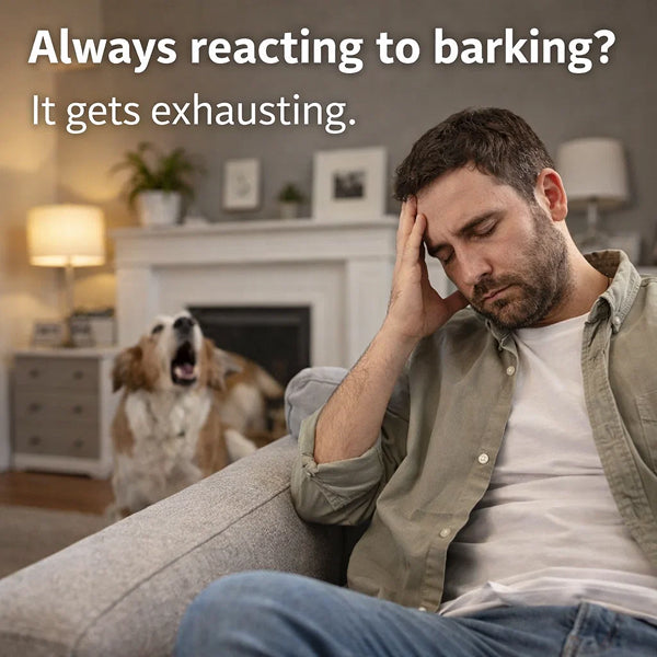 Automatic Bark Control | Hands-Free Wall Unit, Day And Night