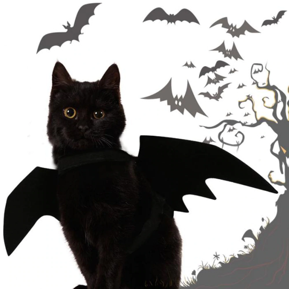 Bat Wings Pet Costume for Halloween | Adjustable Strap, Velcro Fit | Leash Buckle for Walks, Photo-Ready Accessory