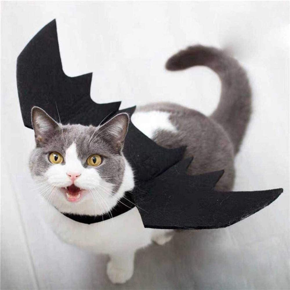 Bat Wings Pet Costume for Halloween | Adjustable Strap, Velcro Fit | Leash Buckle for Walks, Photo-Ready Accessory