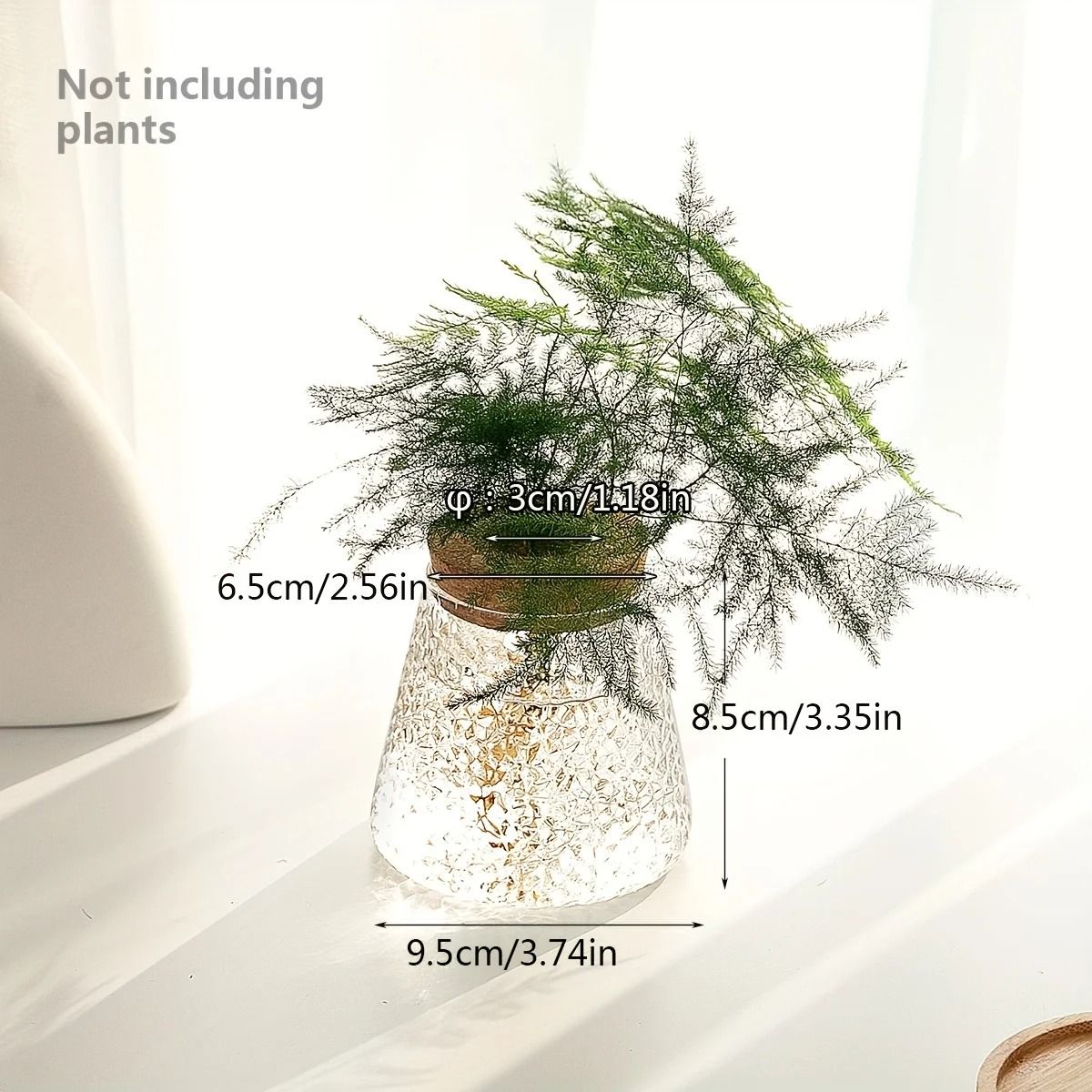 Glass Propagation Station Vase Rack | Wooden Stand for Hydroponic Plant Cuttings | Tabletop Desk Decoration Piece