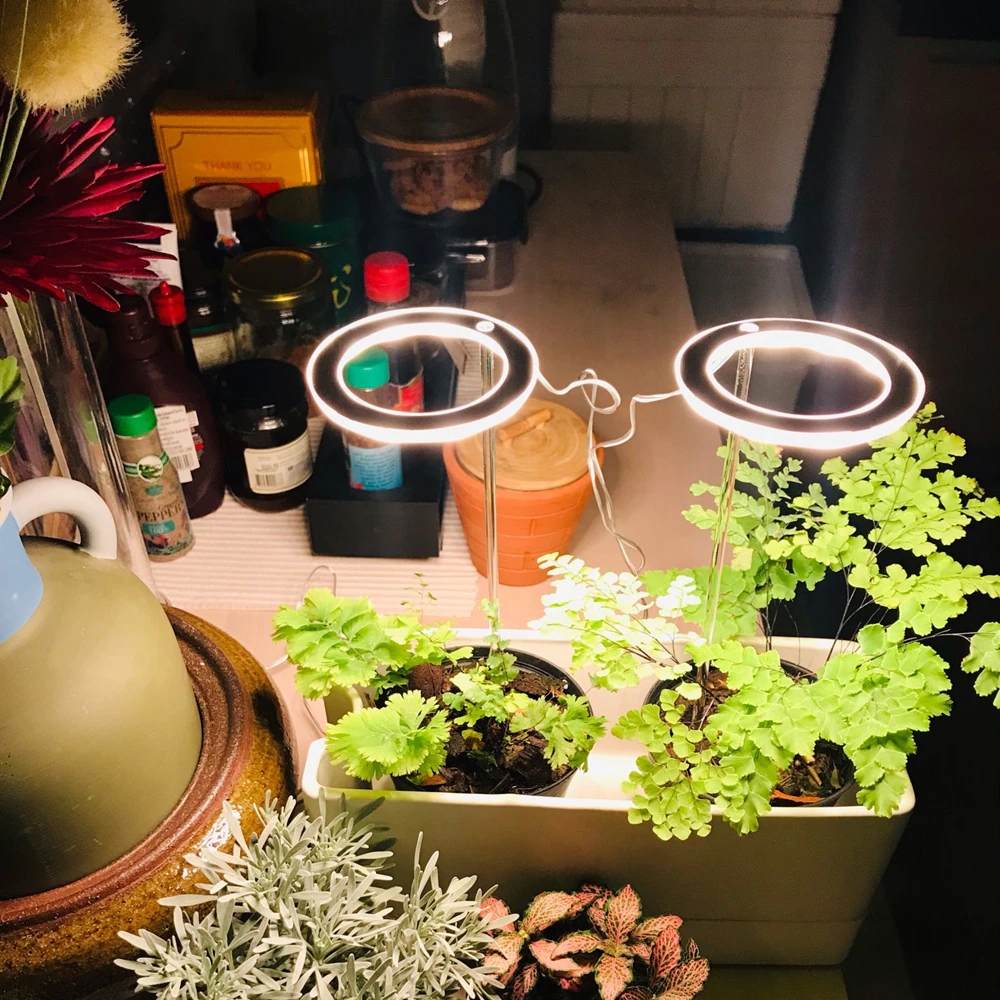 Grow Light for Indoor Plants ABS & Aluminium | 1-3 Ring Light Heads with USB Power | Low Voltage Sun-Yellow Spectrum