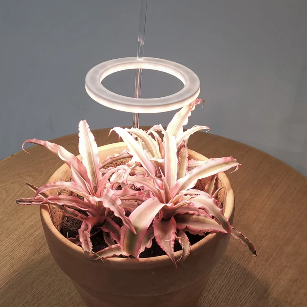Grow Light for Indoor Plants ABS & Aluminium | 1-3 Ring Light Heads with USB Power | Low Voltage Sun-Yellow Spectrum