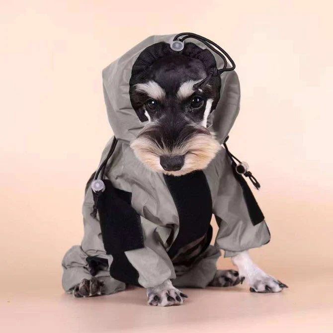 Dog Rain Coat with Legs, Waterproof Polyester | 5 Sizes Pug to Mastiff | Reflective All-Weather Protection & UV Safety 19