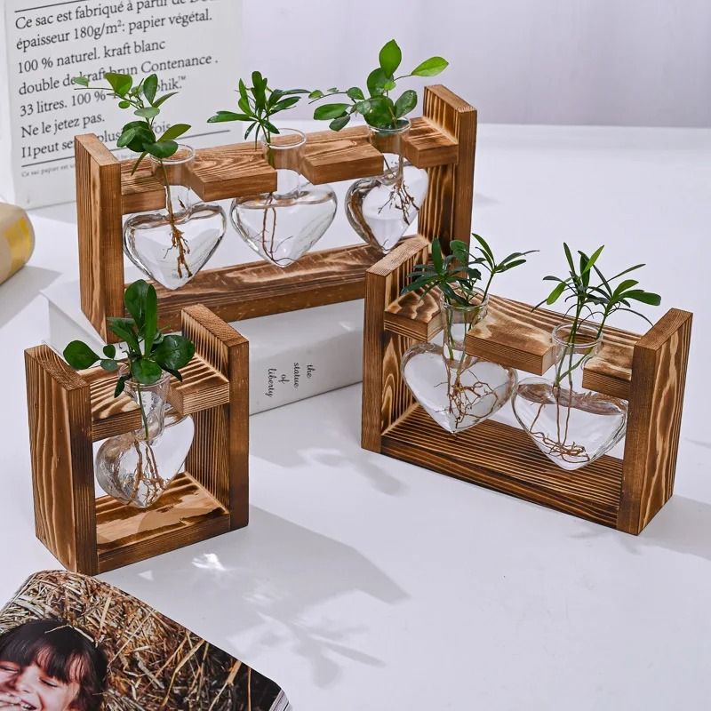 Heart Shaped Glass Vase with Wooden Frame | Hydroponic Propagation Stand for Cuttings | Clear Design Shows Root Growth