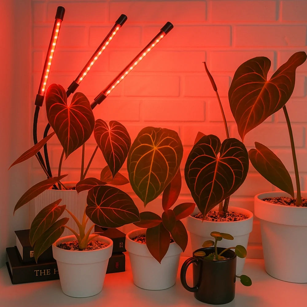 LED Grow Light with Flexible Gooseneck | Full-Spectrum Red, Blue & Mixed Light | Built-In Timer & Dimmer, 1 to 4 Heads