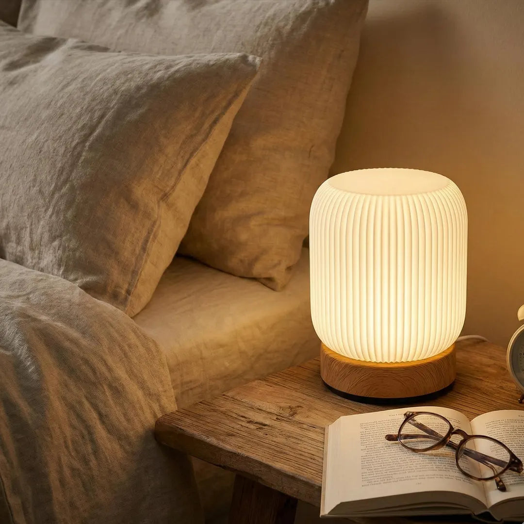 LED Night Light with Touch Control Feature | Round Plastic Shade, Iron Base | USB Rechargeable, No Batteries Required