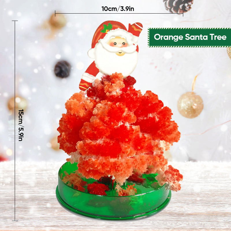 Magic Growing Christmas Tree Novelty Kit | Grows Paper Foliage in 24 Hours | Fun Christmas Activity for Kids and Adults