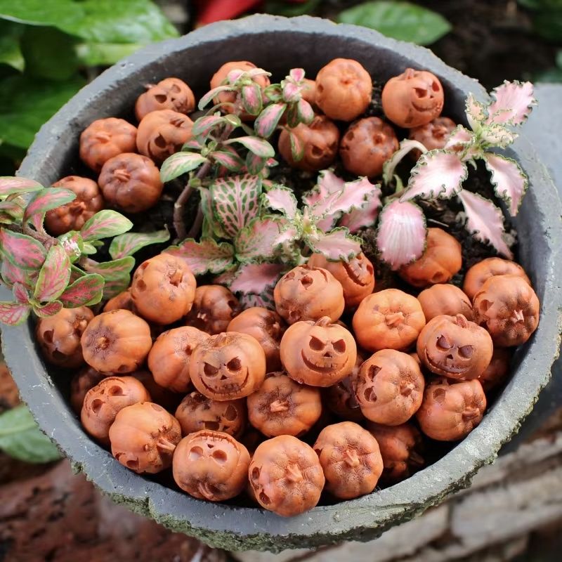 Mini Resin Pumpkins Set of 20 | Fall & Halloween Decor for Tables, Shelves & Wreaths | Reusable Resin Accent Pieces