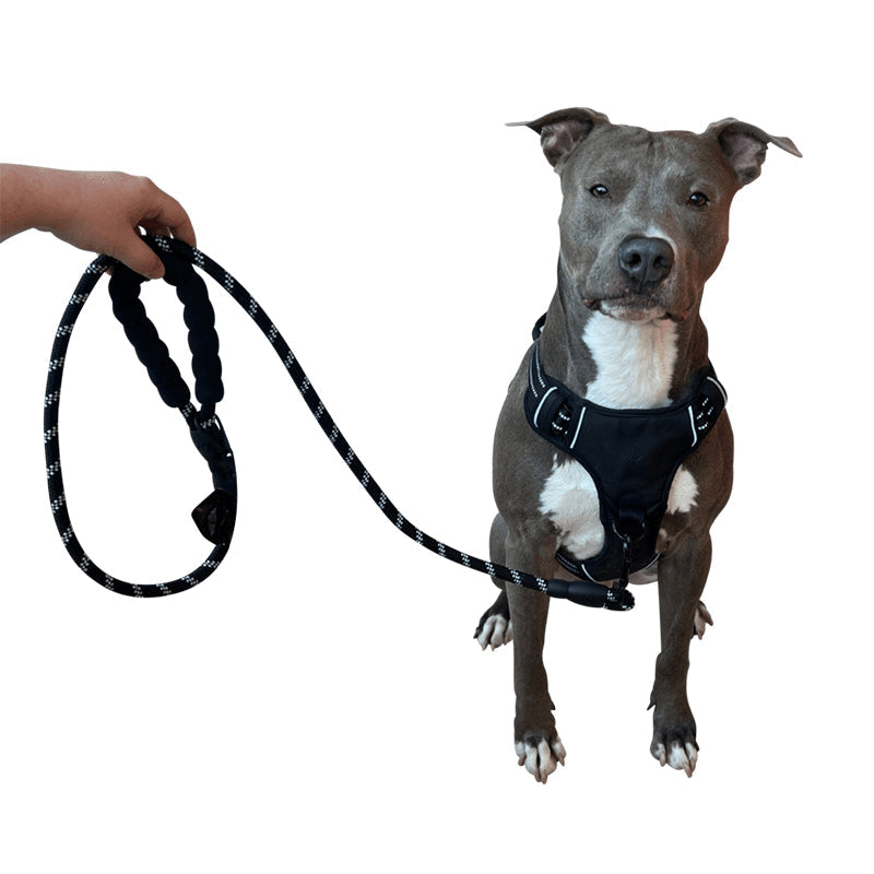 No-Pull Dog Harness Reflective Adjustable Breathable with Metal D-Rings