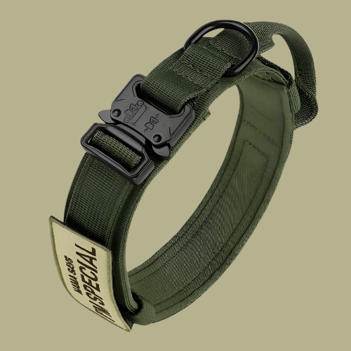 Nylon Dog Collar | Adjustable Tactical Collar with Patch Panel