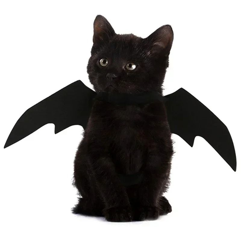 Pet Bat Wings Costume for Halloween | Adjustable Neck and Chest Straps for Cats and Small Dogs | Soft Lightweight Fabric
