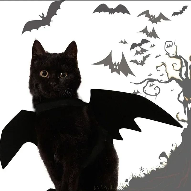 Pet Bat Wings Costume for Halloween | Adjustable Neck and Chest Straps for Cats and Small Dogs | Soft Lightweight Fabric