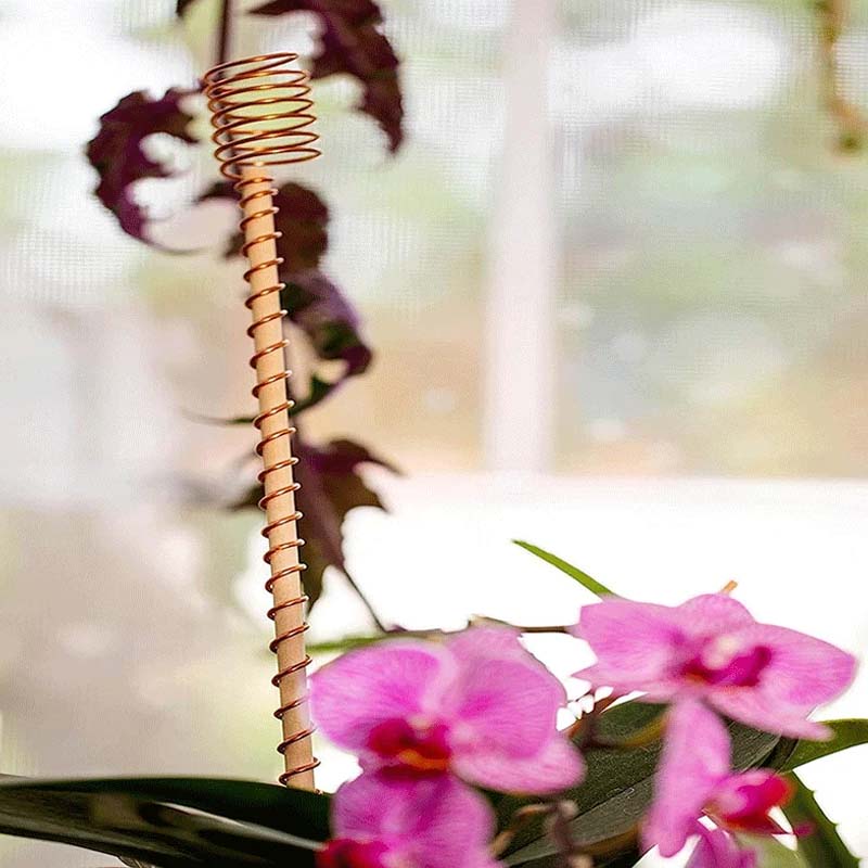 Plant Growth Antenna Stake Pure Copper Garden with No Electricity Needed