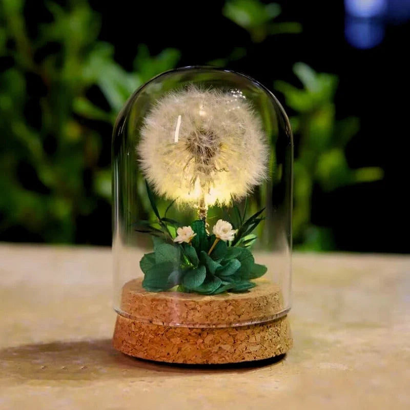 Preserved Flower Glass Dome Night Light | Dried Rose, Dandelion or Poppy-Pinecone Design | Warm White Ambient Glow