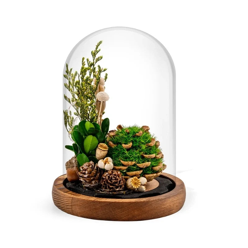 Preserved Flower Glass Dome Night Light | Dried Rose, Dandelion or Poppy-Pinecone Design | Warm White Ambient Glow