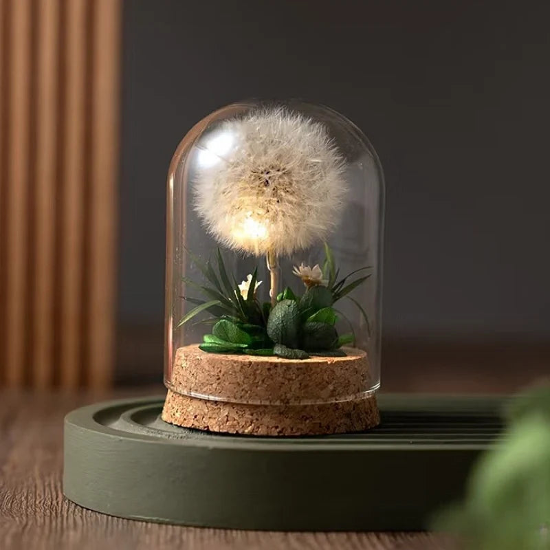 Preserved Flower Glass Dome Night Light | Dried Rose, Dandelion or Poppy-Pinecone Design | Warm White Ambient Glow