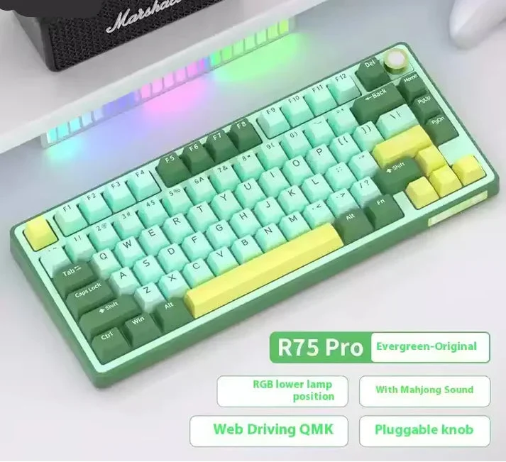 Wireless Mechanical Gaming Keyboard | Bluetooth, 2.4G & Type-C Modes | 3750mAh Battery, RGB Backlight, Gasket Mount 2