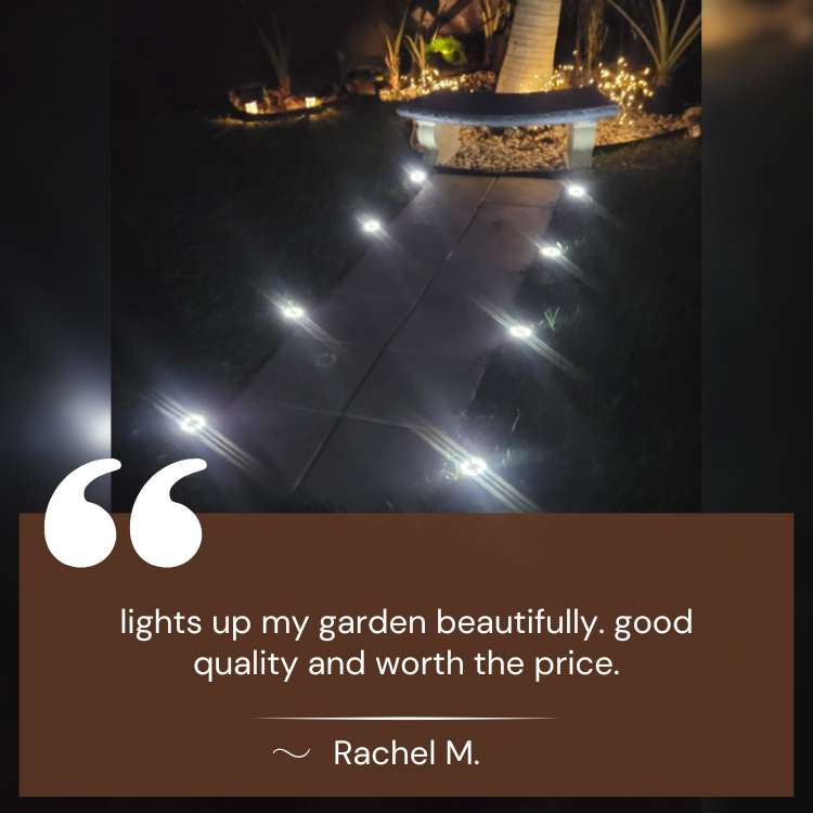 Solar Garden Lights Stainless Steel | 4 Pack LED, Tool-Free Stake Install | Rust-Proof & Weatherproof All Year