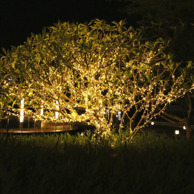 Solar Powered Fairy Lights 100 LED String | 8 Lighting Modes, Dusk Sensor | IP44 Waterproof Outdoor Decoration