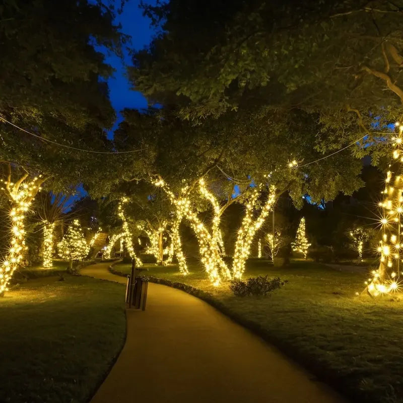 Solar String Fairy Lights | 50-300 LEDs, 8 Colour Options, Up to 30m Length | IP65 Waterproof, Solar Powered, No Wiring