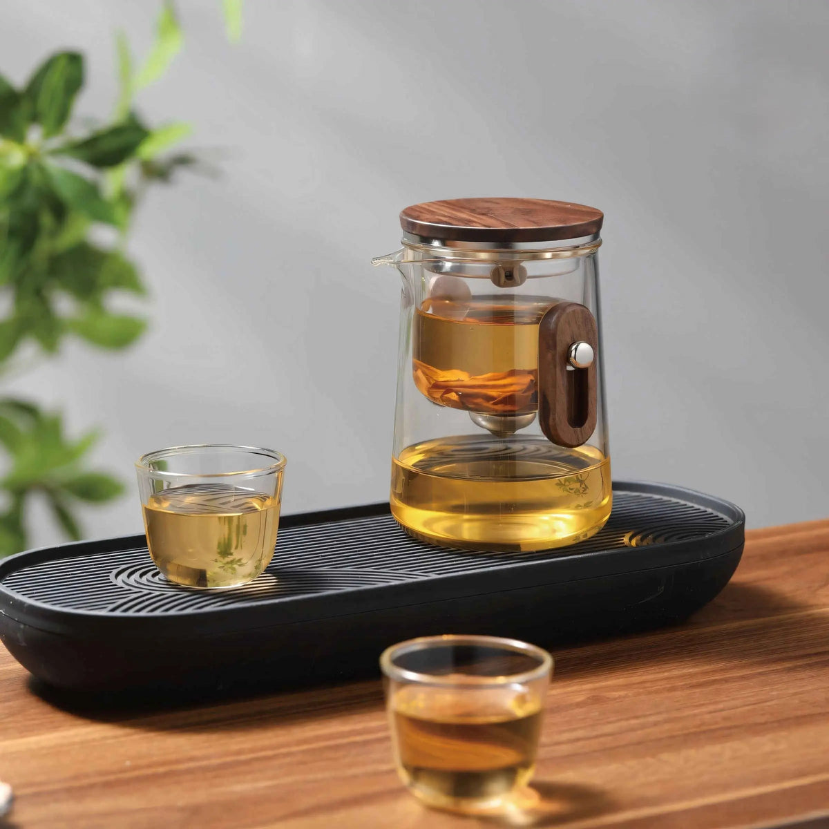 Travel Glass Tea Set | Built-In Strainer, Hard Carry Case