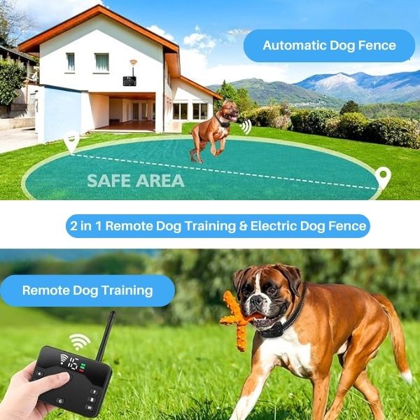 Wireless Dog Fence Training Collar | Sound, Vibration and Static Modes | Covers Up to 500m, Rechargeable & Waterproof