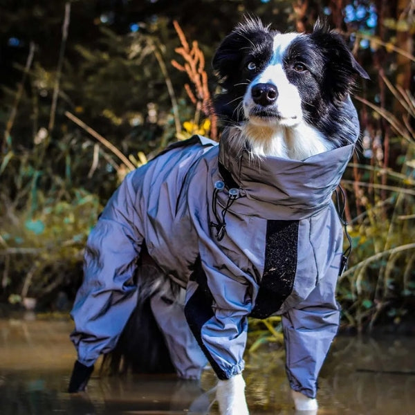 Dog Rain Coat with Legs, Waterproof Polyester | 5 Sizes Pug to Mastiff | Reflective All-Weather Protection & UV Safety 14