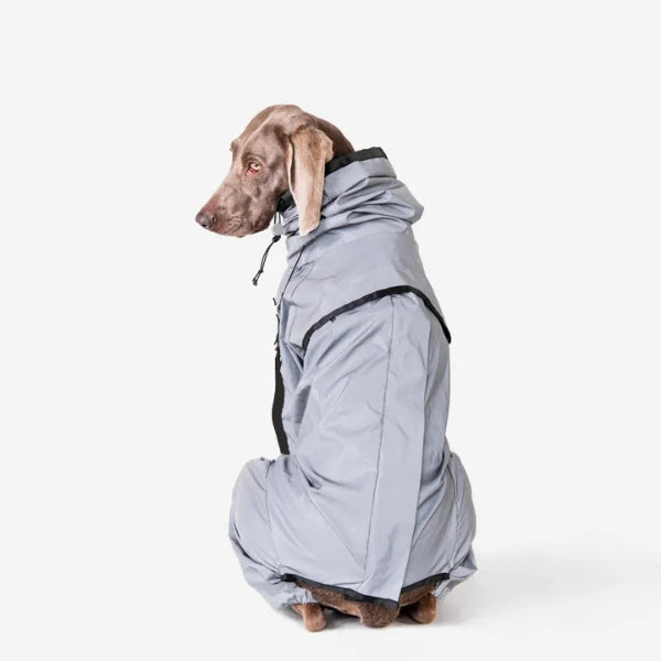 Dog Rain Coat with Legs, Waterproof Polyester | 5 Sizes Pug to Mastiff | Reflective All-Weather Protection & UV Safety 2