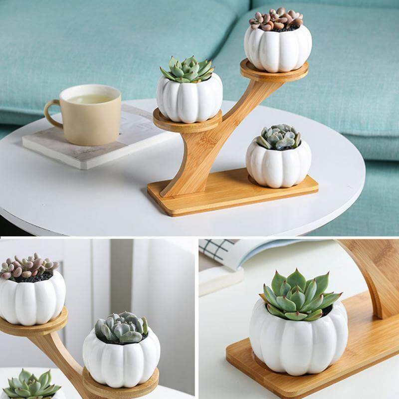 3 Tier Vase Stand Bamboo Ceramic Pumpkin Space Saving with Drainage Holes