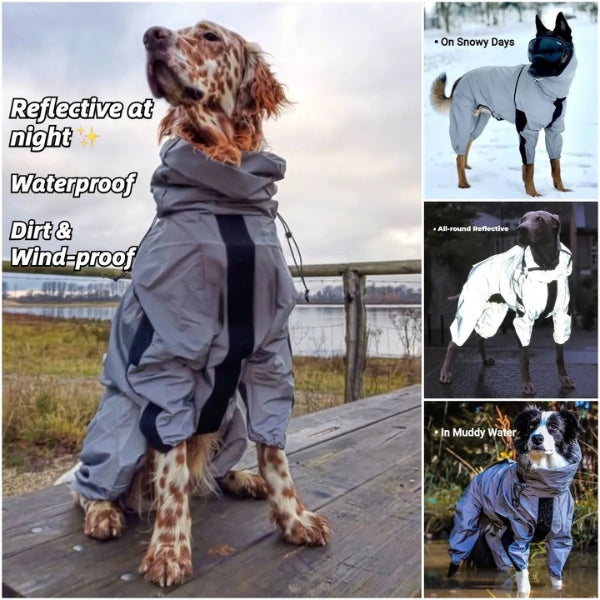 Dog Rain Coat with Legs, Waterproof Polyester | 5 Sizes Pug to Mastiff | Reflective All-Weather Protection & UV Safety 9