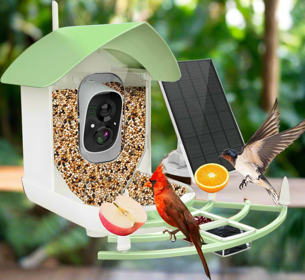 Smart Bird Feeder Camera with AI Bird Recognition | 1080p HD Night Vision, 130° View | Solar Powered, Wi-Fi App Connected 1