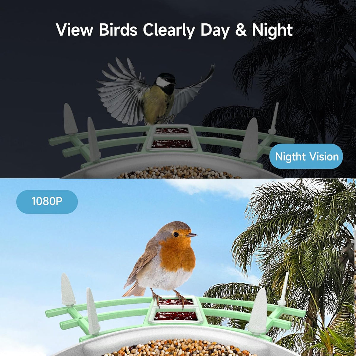 Smart Bird Feeder Camera with AI Bird Recognition | 1080p HD Night Vision, 130° View | Solar Powered, Wi-Fi App Connected 3