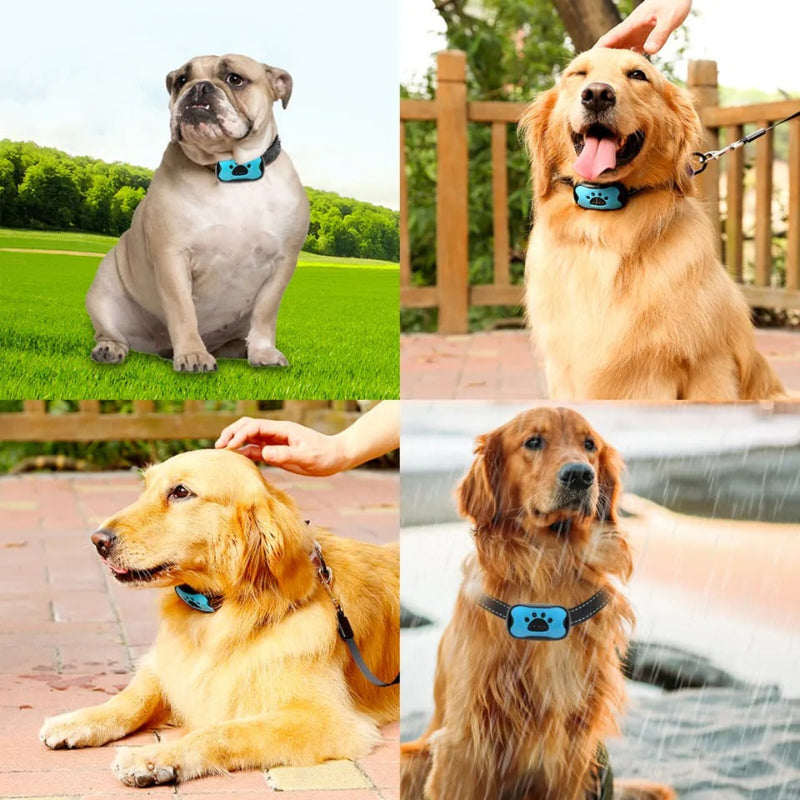 Anti-Bark Dog Collar | Sound Wave Training Technology | Adjustable Fit for Small to Large Dog Breeds, Shock-Free Design