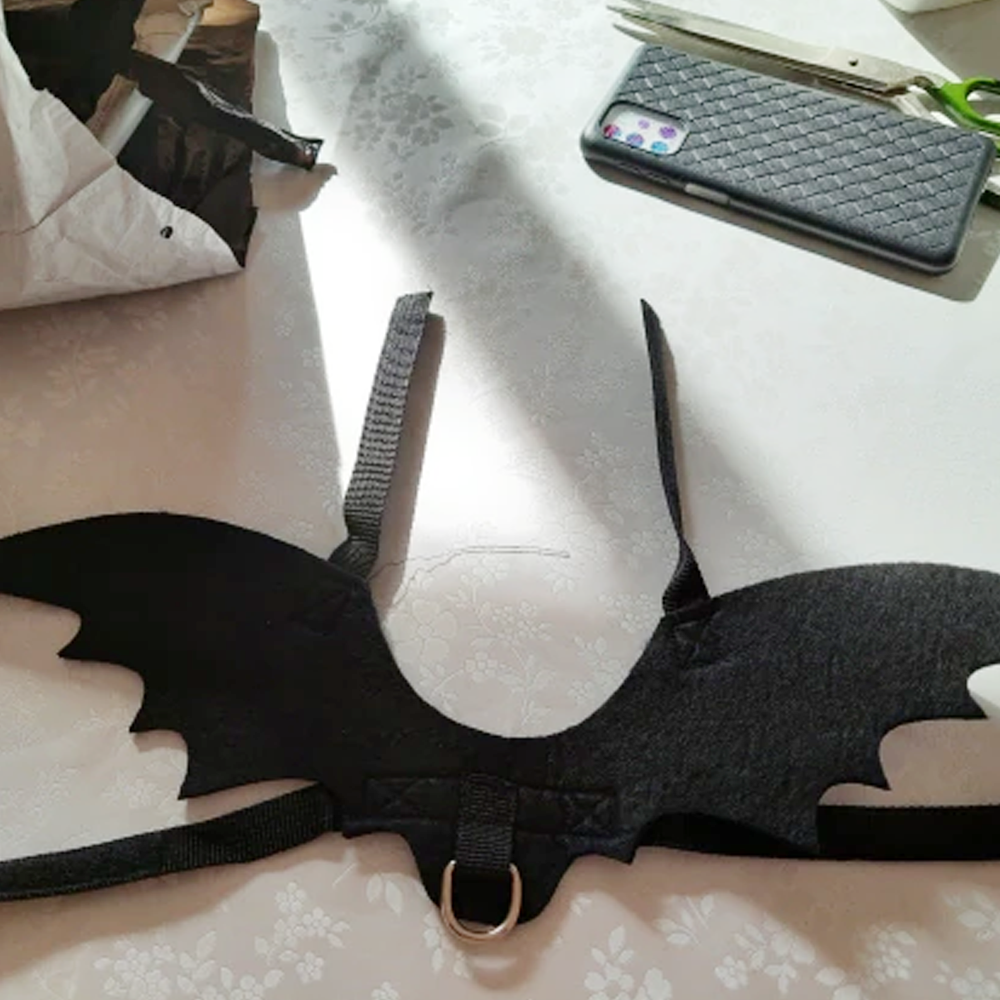 Bat Wings Pet Costume for Halloween | Adjustable Strap, Velcro Fit | Leash Buckle for Walks, Photo-Ready Accessory
