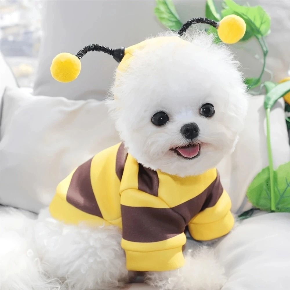 Bee-Print Fleece Hoodie for Pets | Pull-On Design with Pompom Antennas | Warm Winter Costume for Small Dogs and Cats