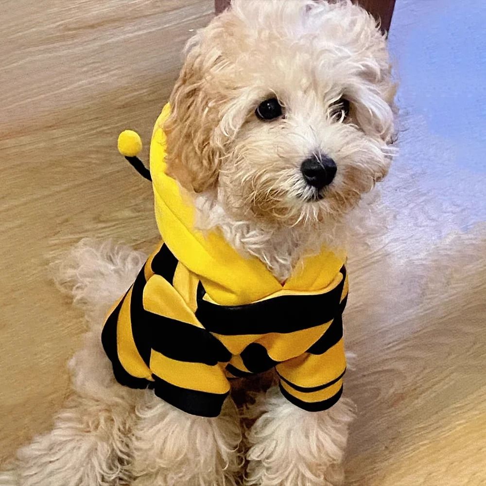 Bee-Print Fleece Hoodie for Pets | Pull-On Design with Pompom Antennas | Warm Winter Costume for Small Dogs and Cats