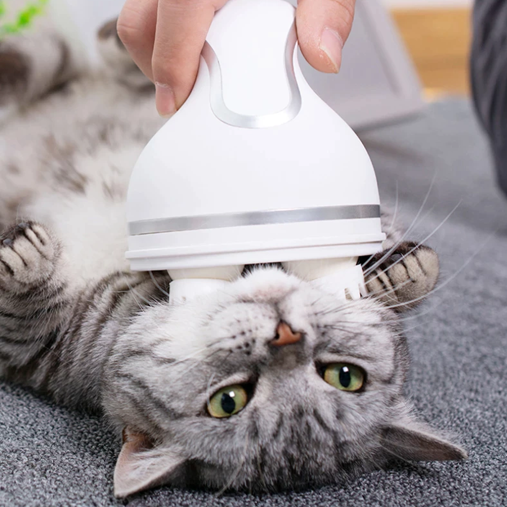 Cordless Pet Massager for Dogs and Cats | Interchangeable Massage Heads | Soothes Muscles, Boosts Circulation Daily