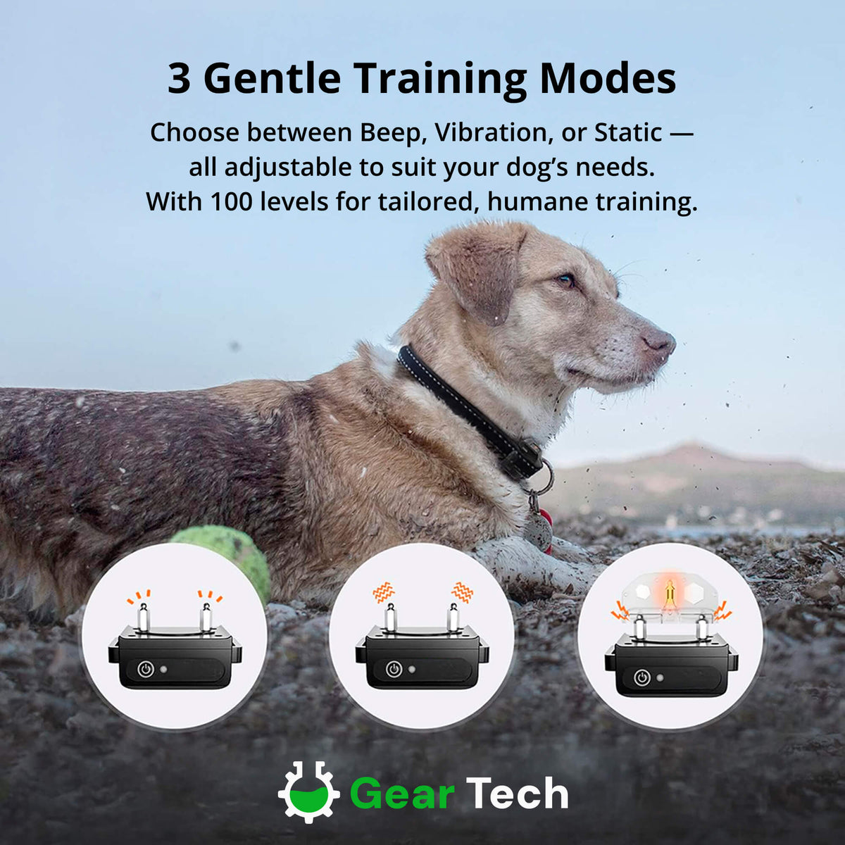 Dog Training Collar Rechargeable | 1000m Remote Range, 3 Modes, 100 Levels | IP67 Waterproof, 60-Day Battery Life