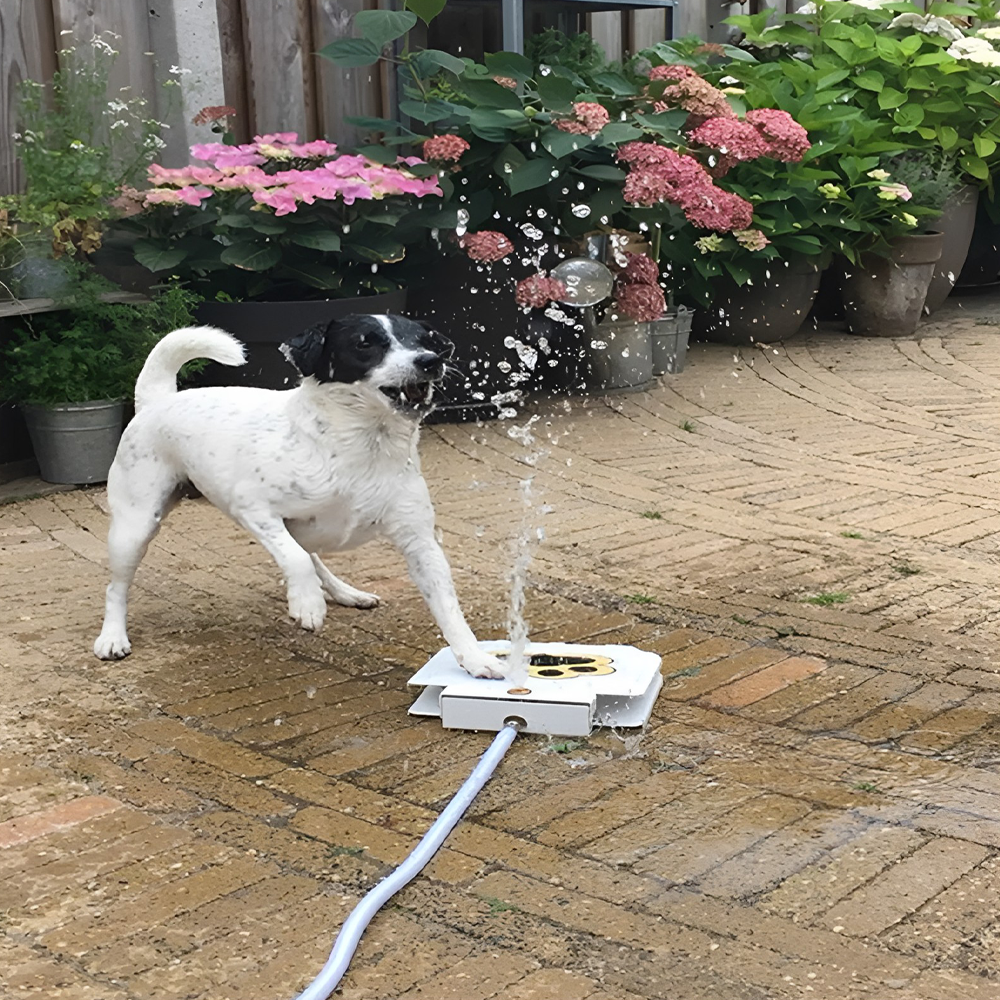 Dog Water Fountain Paw-Activated | Hose Connect Outdoor Sprinkler | Water-Saving, No Electricity, Safe Garden Design