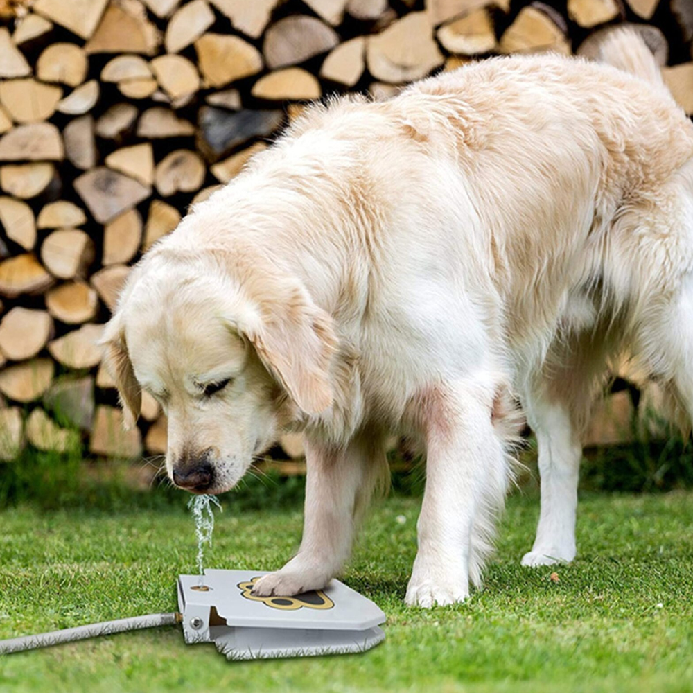 Dog Water Fountain Paw-Activated | Hose Connect Outdoor Sprinkler | Water-Saving, No Electricity, Safe Garden Design
