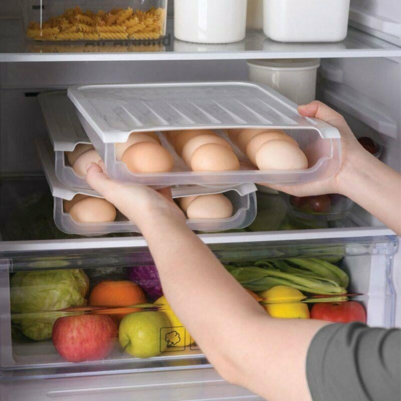 Egg Storage Holder Auto Scrolling Clear Plastic with 18-Egg Capacity