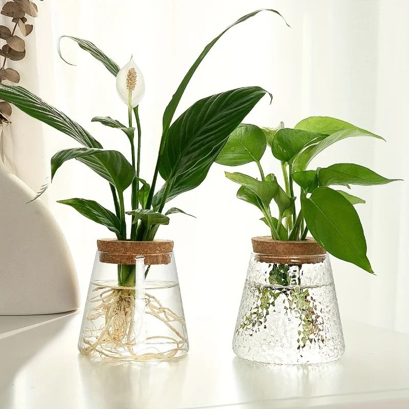 Glass Propagation Station Vase Rack | Wooden Stand for Hydroponic Plant Cuttings | Tabletop Desk Decoration Piece