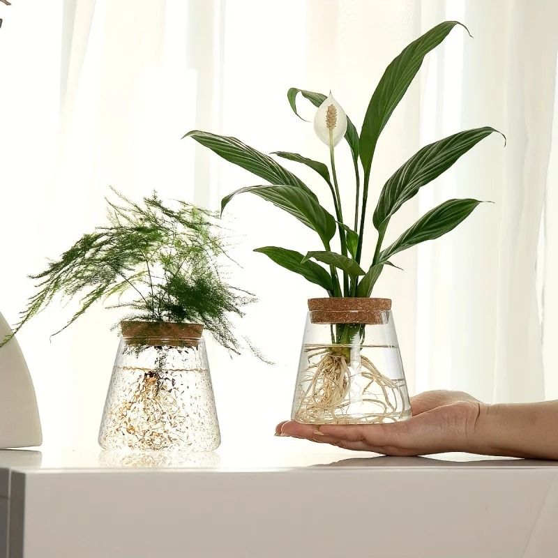 Glass Propagation Station Vase Rack | Wooden Stand for Hydroponic Plant Cuttings | Tabletop Desk Decoration Piece