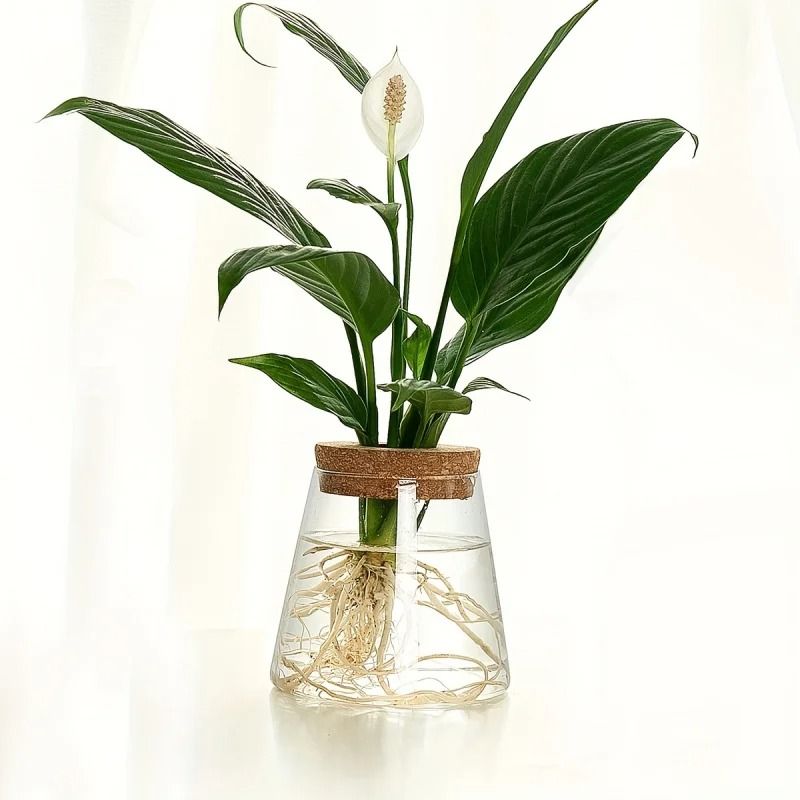 Glass Propagation Station Vase Rack | Wooden Stand for Hydroponic Plant Cuttings | Tabletop Desk Decoration Piece