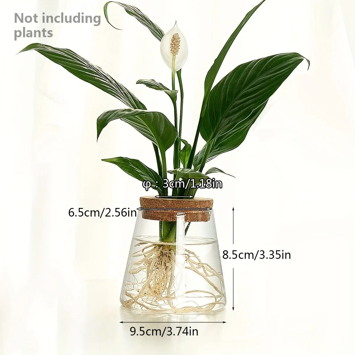 Glass Propagation Station Vase Rack | Wooden Stand for Hydroponic Plant Cuttings | Tabletop Desk Decoration Piece