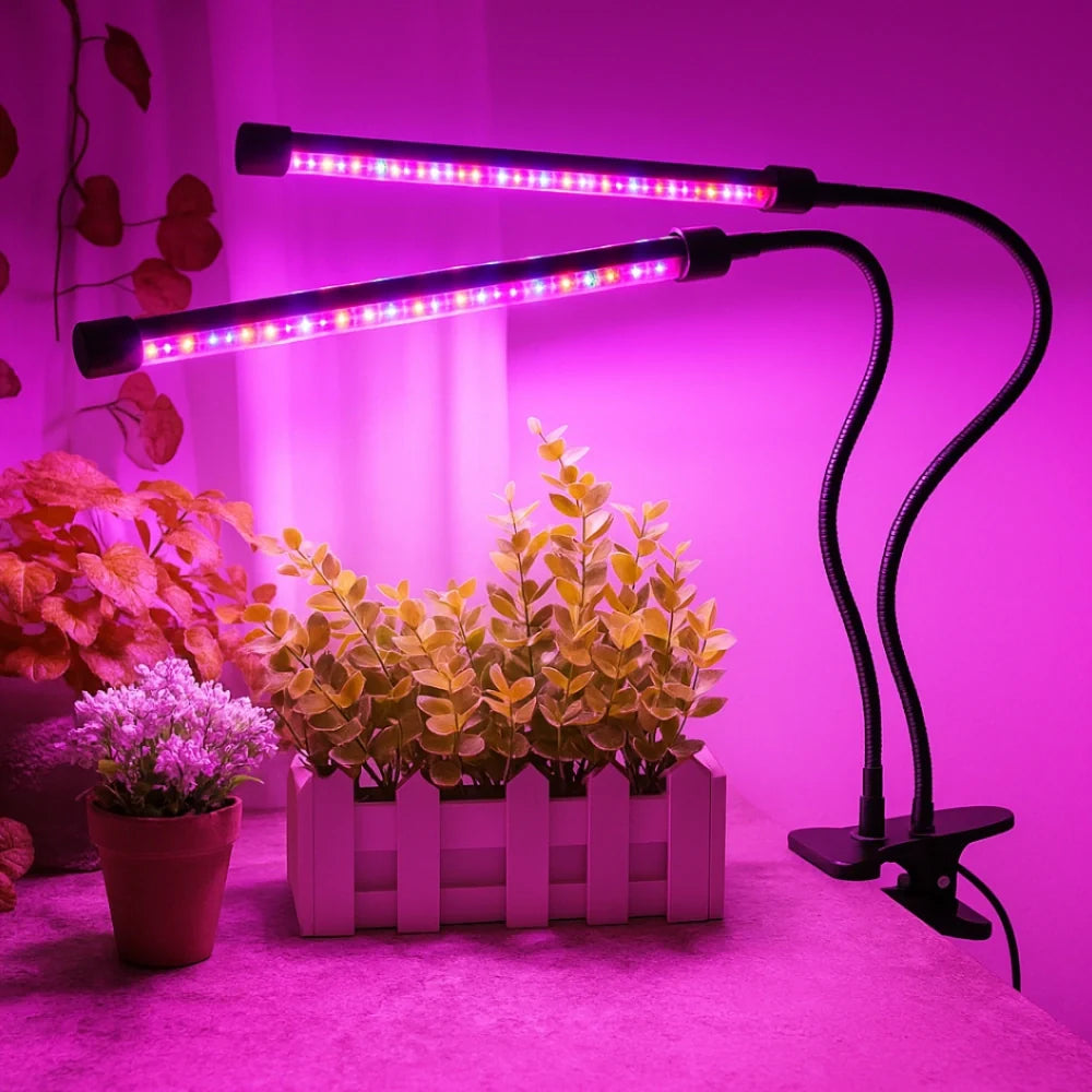 LED Grow Light with Flexible Gooseneck | Full-Spectrum Red, Blue & Mixed Light | Built-In Timer & Dimmer, 1 to 4 Heads